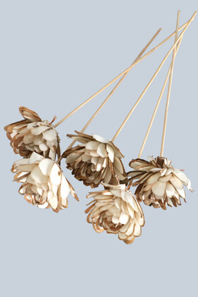 5 Adet Shola Chips Doğal Kuru Çiçek 26 cm - 2