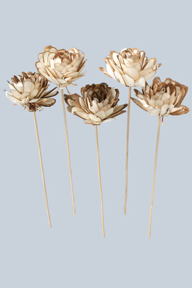 Yapay Çiçek Deposu - 5 Adet Shola Chips Doğal Kuru Çiçek 26 cm