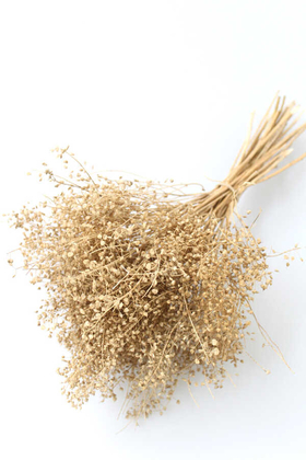 Kuru Çiçek Kalp Otu Demeti Naturel - Yapay Çiçek Deposu