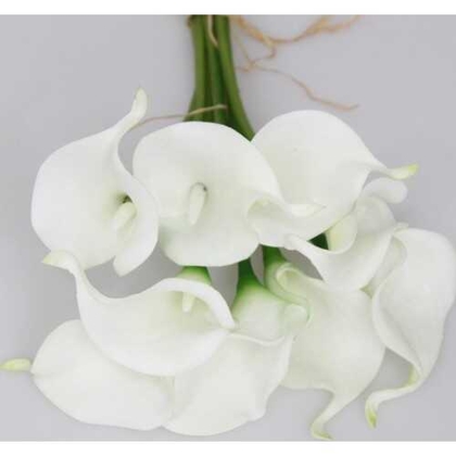 Yapay Çiçek Islak Gerçek Gala Çiçeği 8 Dal Net Beyaz - Thumbnail