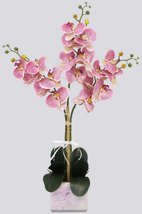 Yapay Çiçek Deposu - Mermer Görünümlü Beton Saksıda 3lü Yapay Orkide Tanzim Fuşya Benekli 80cm