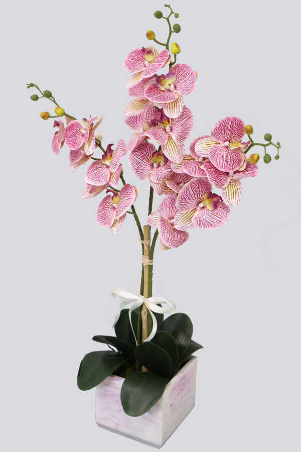 Mermer Görünümlü Beton Saksıda 3lü Yapay Orkide Tanzim Fuşya Benekli 80cm