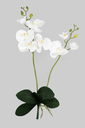 Yapay Çiçek Deposu - Yapraklı 3D Lüx 2li Islak Orkide Dalı 55 cm Beyaz