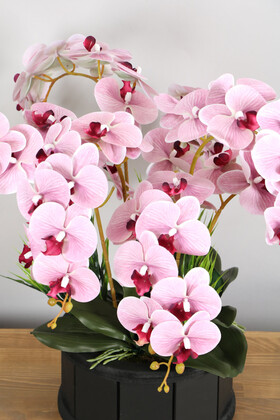 Dekoratif Ahşap Saksıda 7 Dal Orkide Tanzimi Pembe Çizgili - Thumbnail