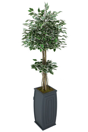Yapay Çiçek Deposu - Uzun Ahşap Saksıda Yapay Benjamin Ağacı 180 cm Yeşil-Beyaz