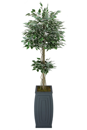 Uzun Ahşap Saksıda Yapay Benjamin Ağacı 180 cm Yeşil-Beyaz - Thumbnail