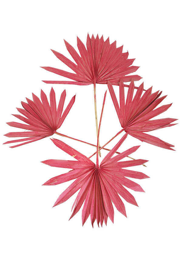 4lü Kuru Tropic Palmiye Yaprağı 40 cm Pastel Kırmızı