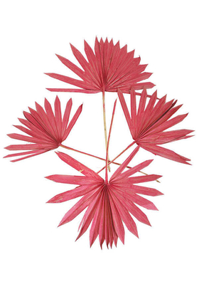 Yapay Çiçek Deposu - 4lü Kuru Tropic Palmiye Yaprağı 40 cm Pastel Kırmızı
