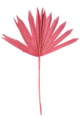 4lü Kuru Tropic Palmiye Yaprağı 40 cm Pastel Kırmızı - Thumbnail