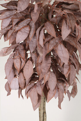 Gri Metal Saksıda Kadife Yapraklı Yapay Ceviz Ağacı 200 cm Mat Kahverengi - Thumbnail