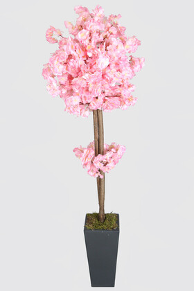 Ahşap Saksıda Yapay Bahar Dalı Ağacı Pembe 150 cm - 2