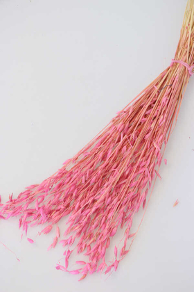 Kuru Çiçek Yulaf Otu Demeti 50 cm Pembe - Yapay Çiçek Deposu