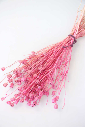 Kuru Çiçek Nigella Bitkisi Demeti Açık Pembe - Yapay Çiçek Deposu
