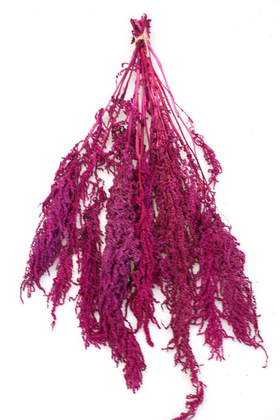 Yapay Çiçek Deposu - Şoklanmış Sarkan Amaranthus Demeti 100 gr Fuşya