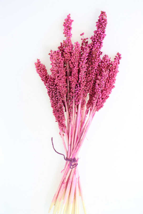 Yapay Çiçek Deposu - Kuru Çiçek Sorghum Otu 55 cm Pembe