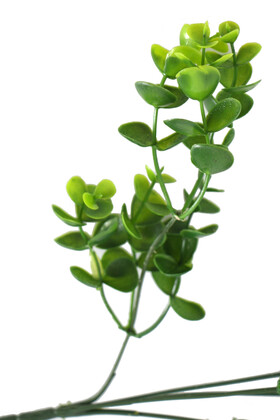 5 Dal Plastik Okaliptus Demeti 32 cm Yeşil - 2