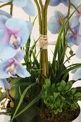 Metal Orta Boy Gümüş Saksıda Islak Premium Orkide Havai Mavi - Thumbnail