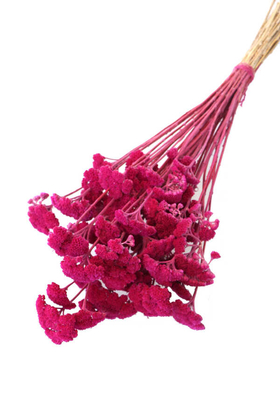 Yapay Çiçek Deposu - Kuru Çiçek Şemsiye Otu Demeti Pastel Pembe(Özel Kesim)