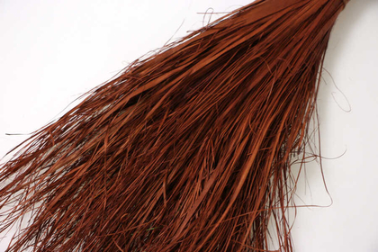 Tropic Strip Grass Şerit Kurutulmuş Çimen Demeti 40cm Kızıl-Kahve - Thumbnail