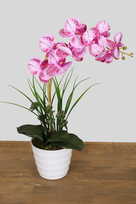 Yapay Çiçek Deposu - Yapay Çiçek Melamin Saksıda Orkide Tanzim 60 cm Fuşya Çizgili