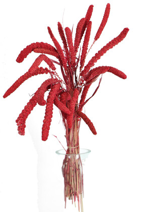 Yapay Çiçek Deposu - Şoklanmış Setteria Boncuk Demeti 100 gr Kırmızı
