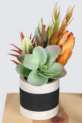 Beton Saksıda Yapay Succulent Bahçesi Tropikal Model - 2