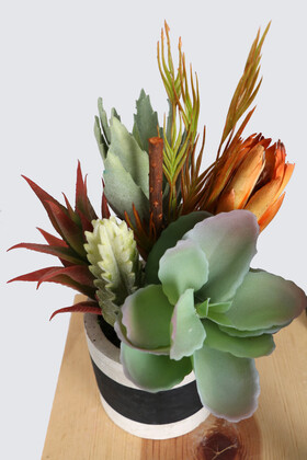 Beton Saksıda Yapay Succulent Bahçesi Tropikal Model - 3