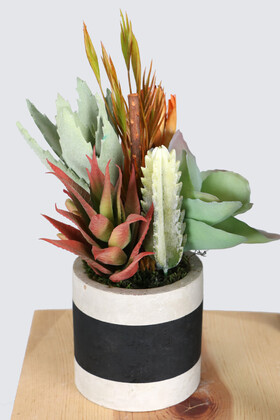 Beton Saksıda Yapay Succulent Bahçesi Tropikal Model - 4
