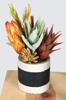 Beton Saksıda Yapay Succulent Bahçesi Tropikal Model - 5