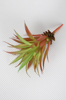 Yapay Çiçek Deposu - Yapay Succulent Sukulent Kaktüs Tillandsia Ionantha Turuncu Yeşil