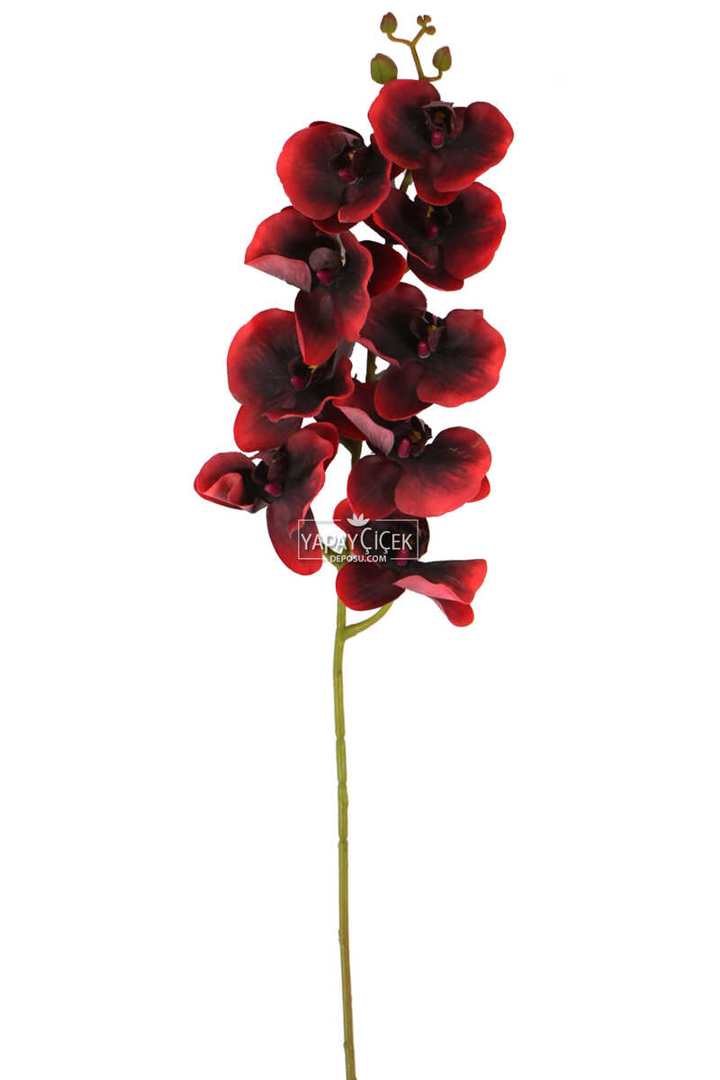 Yapay Islak Dokulu Premium Orkide Çiçeği 97 cm Kırmızı