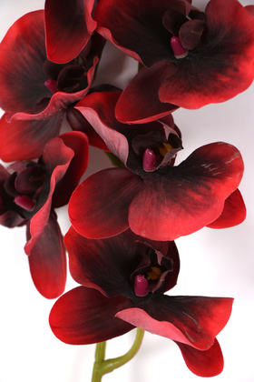 Yapay Islak Dokulu Premium Orkide Çiçeği 97 cm Kırmızı - Thumbnail