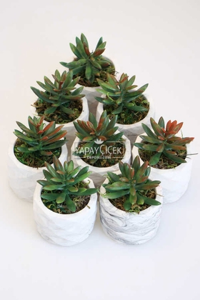 Yapay Çiçek Deposu - 8 Adet Beton Saksıda Yeşil Kızıl Succulent Senecio Plant Set