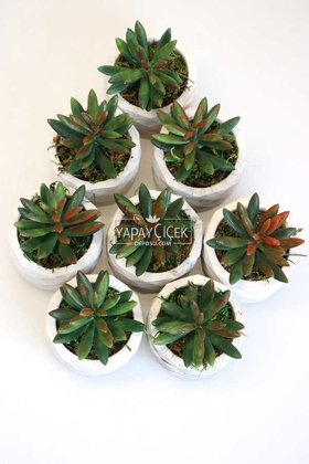 8 Adet Beton Saksıda Yeşil Kızıl Succulent Senecio Plant Set - Thumbnail