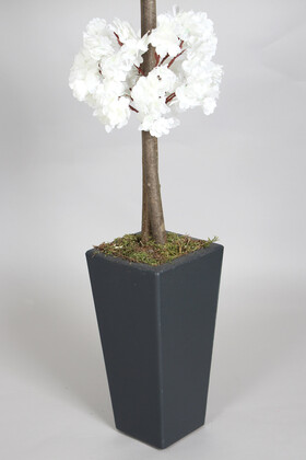 Ahşap Saksıda Yapay Bahar Dalı Ağacı Beyaz 150 cm - Thumbnail
