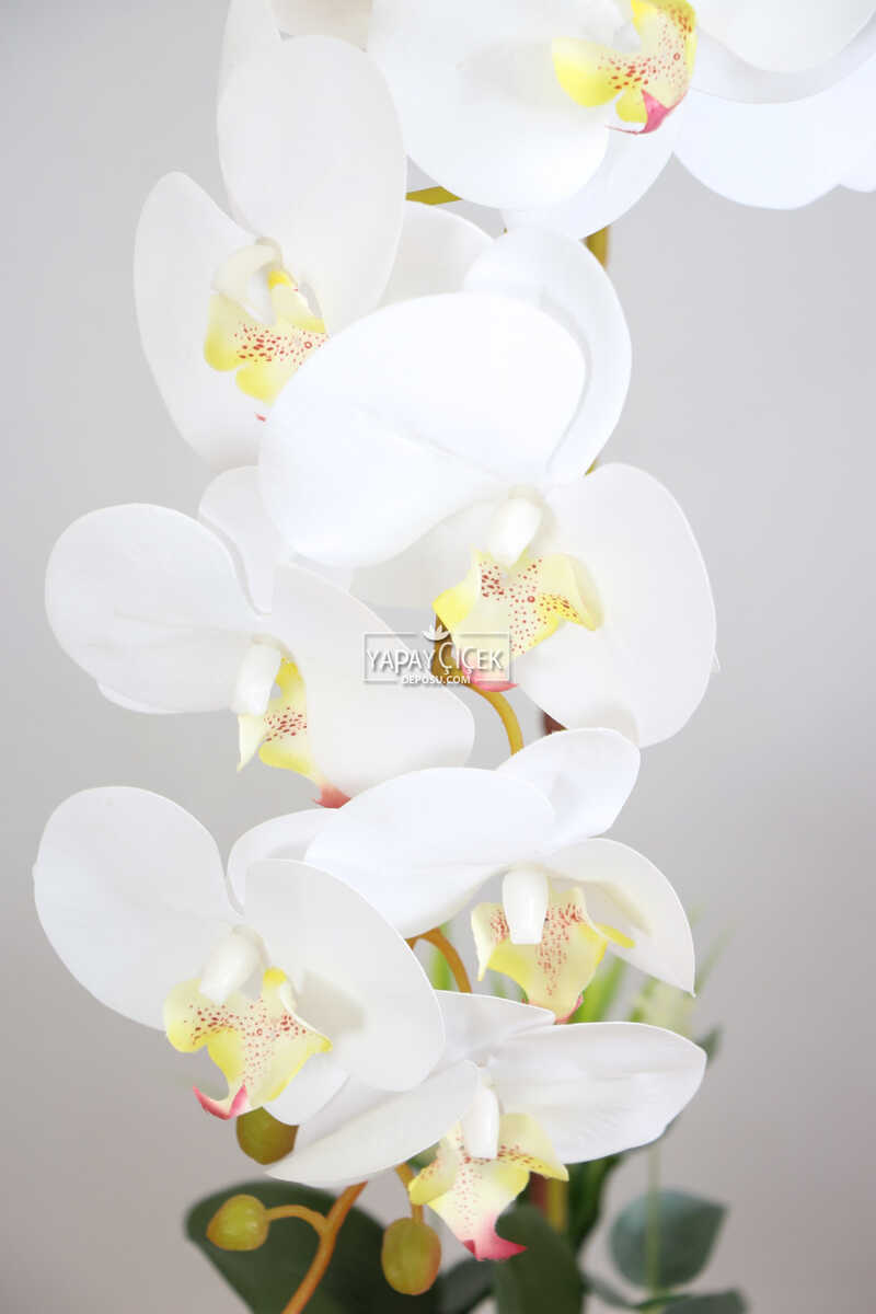 Beton Saksıda Yapay Baskılı Islak Orkide 55 cm Beyaz-Fıstık