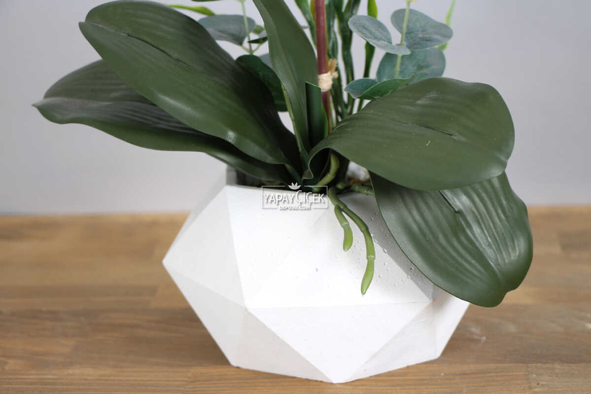 Beton Saksıda Yapay Baskılı Islak Orkide 55 cm Beyaz-Fıstık