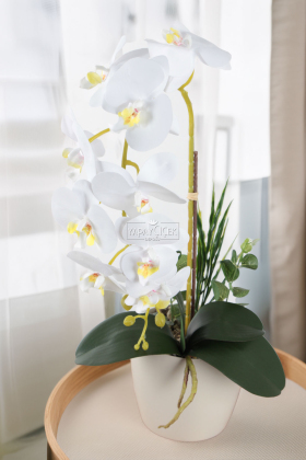 Saksıda Yapay Baskılı Islak Orkide 55 cm Beyaz-Fıstık - 1