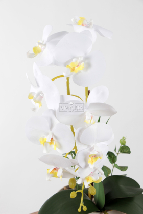 Saksıda Yapay Baskılı Islak Orkide 55 cm Beyaz-Fıstık - 2