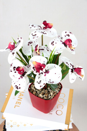 Yapay Islak Orkide 7li Tanzim Saksılı 35 cm Bordo Benekli - 2