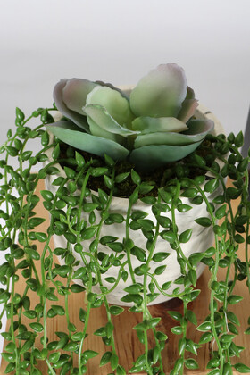Beton Saksıda Succulentli Sarkan Boncuk Çiçeği 60 cm Yeşil - Thumbnail