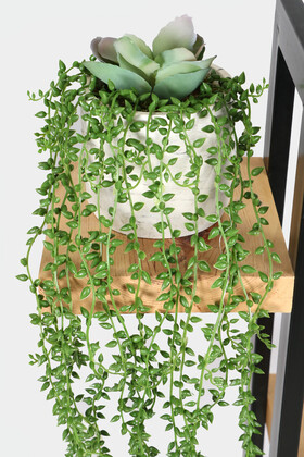 Beton Saksıda Succulentli Sarkan Boncuk Çiçeği 60 cm Yeşil - Thumbnail