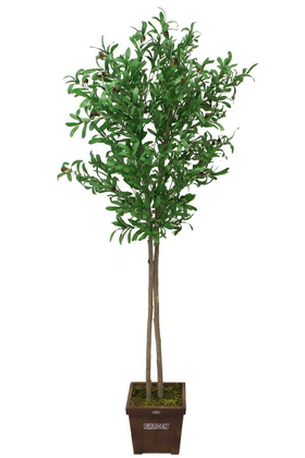 Yapay Çiçek Deposu - Saksıda Yapay Zeytin Ağacı Büyük Boy 200 cm