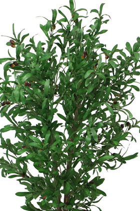 Saksıda Yapay Zeytin Ağacı Büyük Boy 200 cm - 2