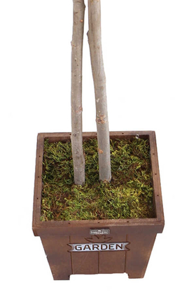Saksıda Yapay Zeytin Ağacı Büyük Boy 200 cm - 3