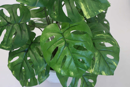 Yapay 18 Dallı Lüx Monstera Deliciosa (Deve Tabanı) Plastik Saksılı - 2