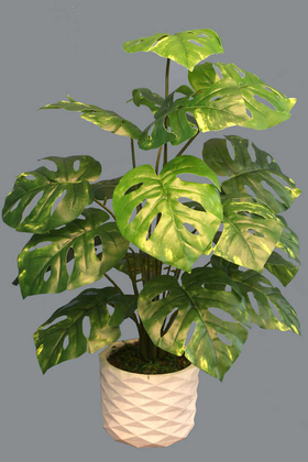 Yapay 18 Dallı Lüx Monstera Deliciosa (Deve Tabanı) Plastik Saksılı - 4