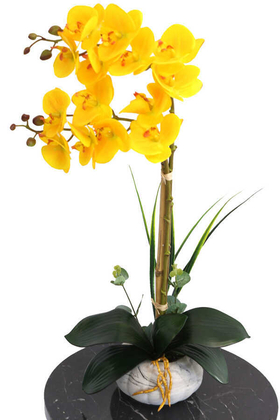 Yapay Çiçek Deposu - Küçük Kabak Saksıda 2li Exclusive Islak Orkide Sarı