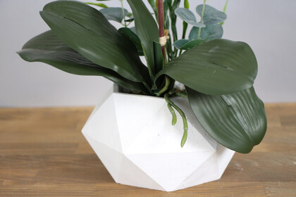 Beton Saksıda Yapay Baskılı Islak Orkide 55 cm Beyaz-Bordo - Thumbnail