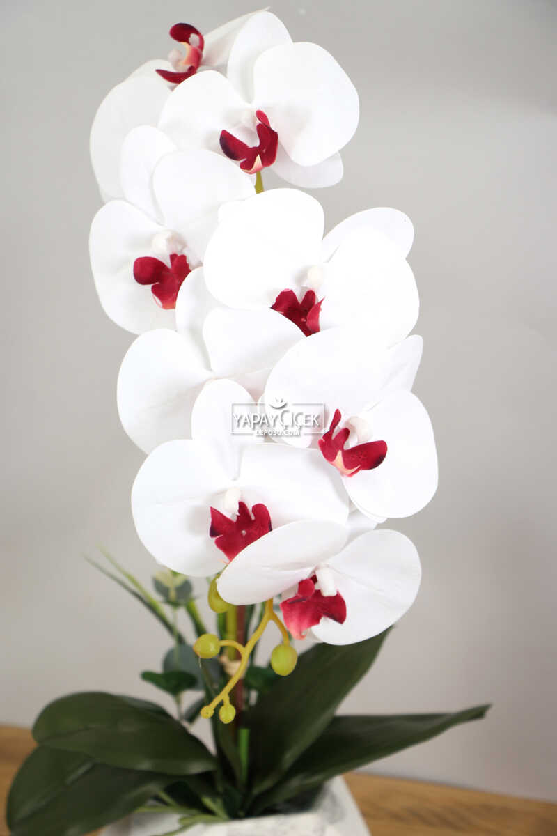Beton Saksıda Yapay Baskılı Islak Orkide 55 cm Beyaz-Bordo